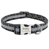 Personalized Dog Collar for Medium and Large Dogs