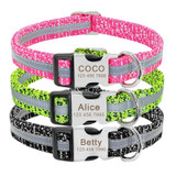 Personalized Dog Collar for Medium and Large Dogs