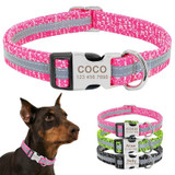 Personalized Dog Collar for Medium and Large Dogs