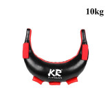 Bulgarian Fitness SandBag
