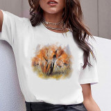 Tshirt morning mountain bird