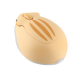 Wireless Optical Computer Mouse