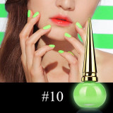 Luminous Nail Polish Light Nail Art Decoration in Bright Matte Fluorescent Nail Polish