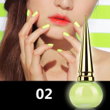 Luminous Nail Polish Light Nail Art Decoration in Bright Matte Fluorescent Nail Polish
