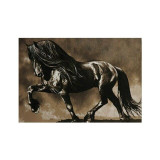 The Running Horse Canvas Print Painting
