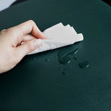 Luxe Designer Placemats by Sia