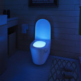 Toilet Bowl Sensor Light