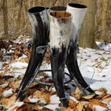 Set of 5 Drinking Horns & Stand