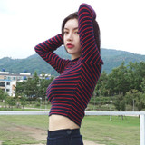 "SYLVIA" Crop Top Turtleneck