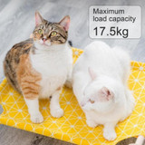 Daisy Elevated Cat Bed Natural Wood Cat Hammock