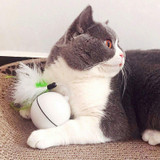 Rolling Cat Ball Toy With Magnetic Feathers Interactive Teasing Multi-function LED Cat Toy