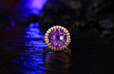 Gorgeous 6.85ct Amethyst & Diamonds Gold Ring