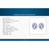 Charm Sky Blue Topaz Silver Stud Earrings