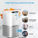 Desktop Air Purifier with True Hepa Filter