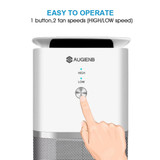 Desktop Air Purifier with True Hepa Filter