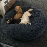 Fluffy Calming Orthopedic Dog Bed