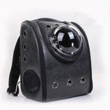 Breathable Transparent Cat BackPack