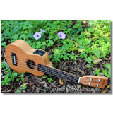 Soprano Acoustic Electric Ukulele 21 Inch Guitar 4 Strings Ukelele Guitarra Handcraft Wood White Guitarist Mahogany Plug-in Uke