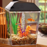 Aqua Culture 1 Gallon Aquarium Tank Starter Kit Aqua Culture 1 Gallon Aquarium Tank Starter Kit