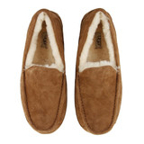 UGG Men's Ascot Slipper | Chestnut