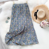 Elegant Floral Print Chiffon Tulle Long Pleated Skirt
