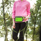 Functional Fanny Pack