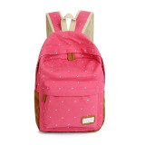 Stylish Casual Backpack