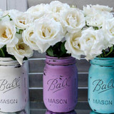 Pint Size Mason Jars