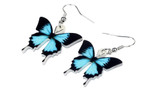 Acrylic Ulysses Butterfly Earrings Big Dangle Drop