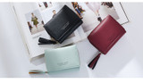 Tassel Pendant Women's Wallets With Zipper Coin Holder