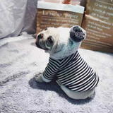 Winter Warm Dog Clothes For French Bulldog Cotton Hoodies