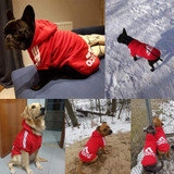 Dog Clothes French Bulldog Dog Hoodie