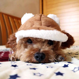 Autumn And Winter Dog Hats For Winter