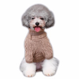 Dogs Knit Sweater Kitten Jacket