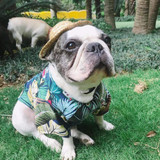 New Dog Hawaii Style Clothes Flower Shirt