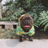 Hawaiian Flower Tropical Shirt For Dogs