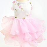 Summer Clothing Dog Princess Skirt