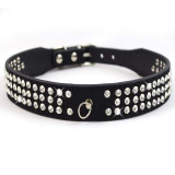 Puppy Little Small Breeds Dog Leather Collars