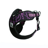 Dog Collar Outdoor Training Walking Harnesses
