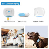 Smart Dog Gps Tracker Ip67 Waterproof Tracking Collar