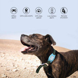Smart Dog Gps Tracker Ip67 Waterproof Tracking Collar