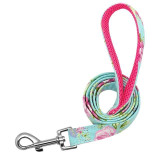Dog Collar Personalized Nylon Puppy Walking Leash