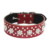 Genuine Leather A Large Dogs Collars