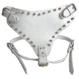 1Pc Dog Harness Adjustable Studded Dog Collar