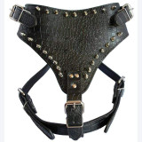 1Pc Dog Harness Adjustable Studded Dog Collar