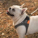 Dog Harness Adjustable Reflective Lightweight Breathable