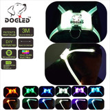 Nylon Led Pet Dog Collar,Night Safety Flashing Glow