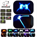 Nylon Led Pet Dog Collar,Night Safety Flashing Glow