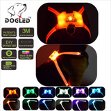 Nylon Led Pet Dog Collar,Night Safety Flashing Glow