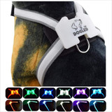 Nylon Led Pet Dog Collar,Night Safety Flashing Glow